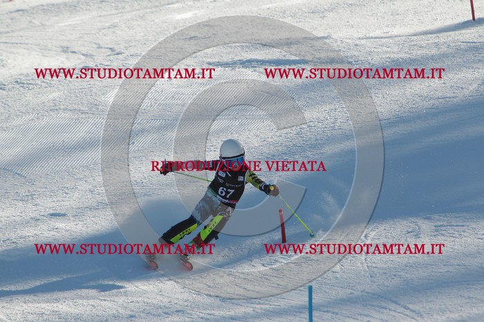 MAT_3984.JPG