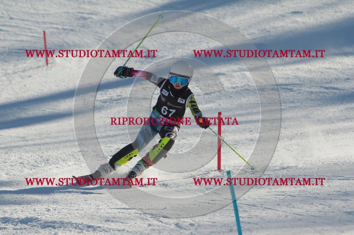 MAT_3986.JPG