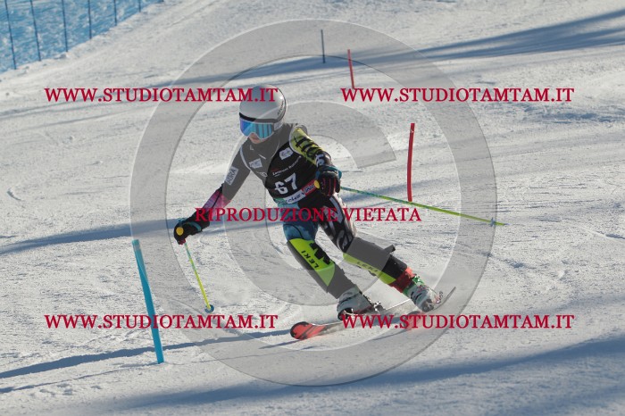 MAT_3991.JPG