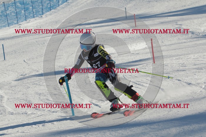 MAT_3992.JPG