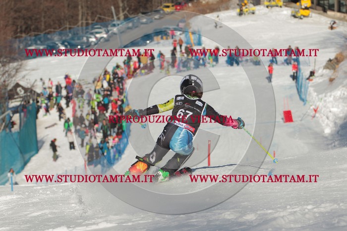 MAT_3993.JPG