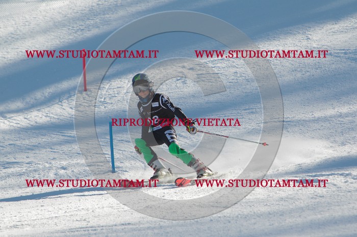 MAT_3999.JPG