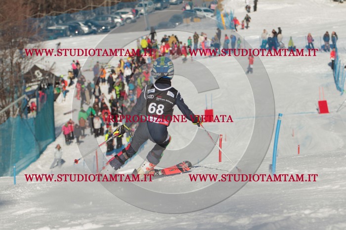 MAT_4008.JPG