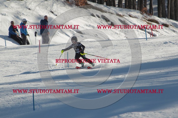 MAT_4025.JPG