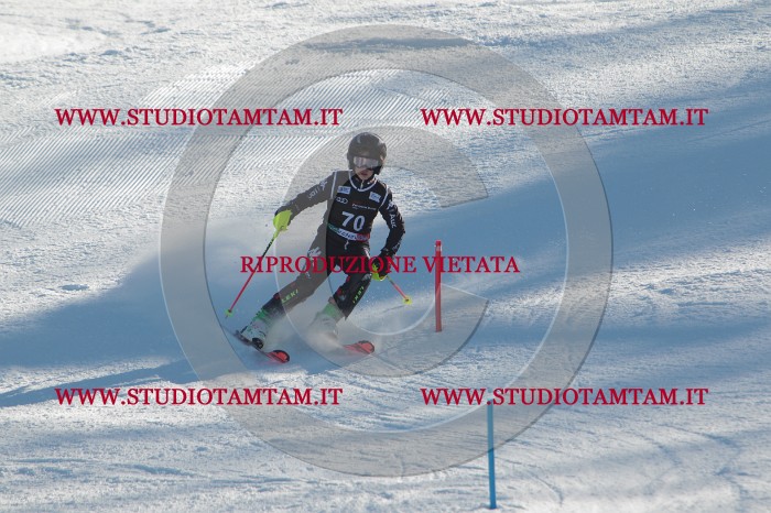 MAT_4028.JPG