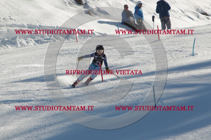 MAT_4042.JPG