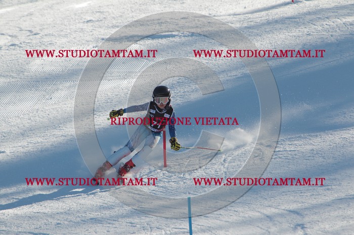 MAT_4044.JPG