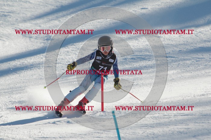 MAT_4048.JPG