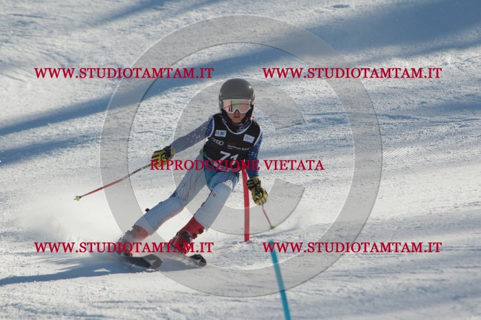 MAT_4049.JPG