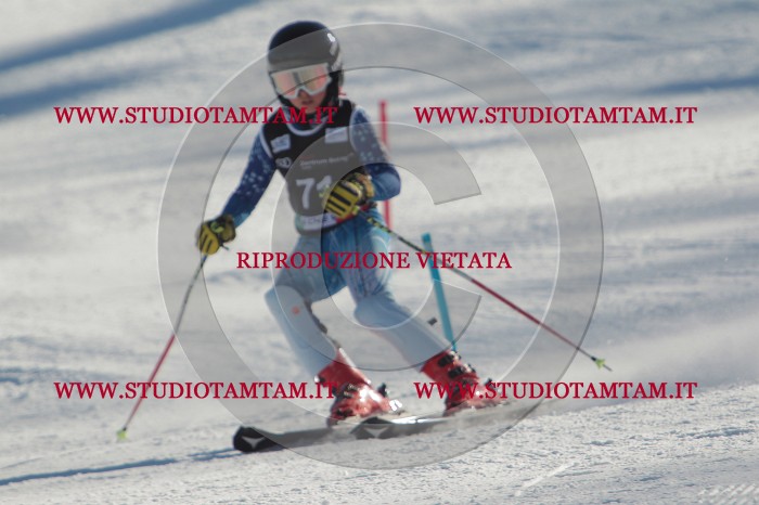 MAT_4051.JPG