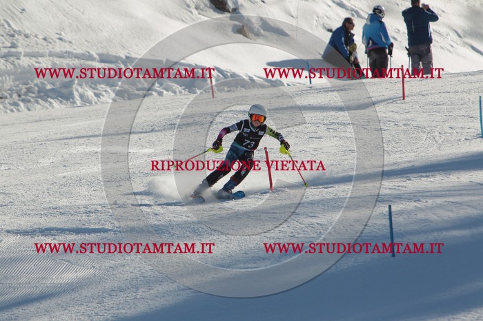 MAT_4058.JPG