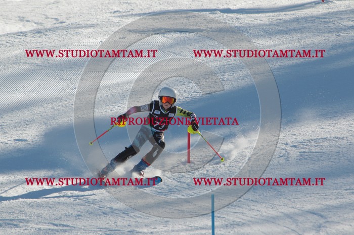 MAT_4061.JPG