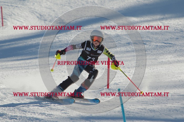 MAT_4064.JPG