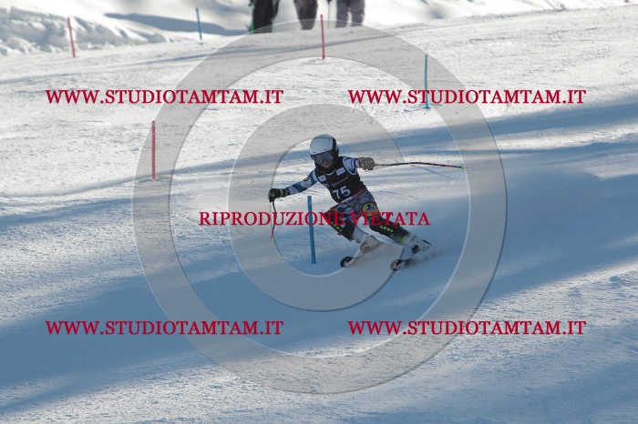 MAT_4073.JPG