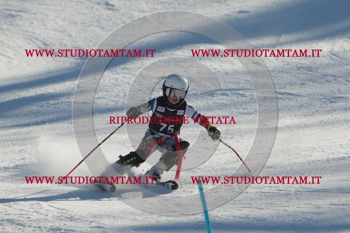 MAT_4079.JPG