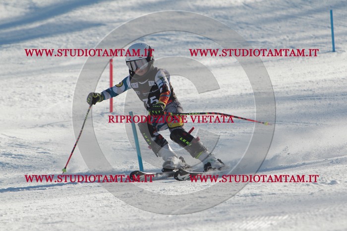 MAT_4081.JPG