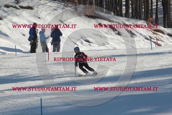 MAT_4088.JPG