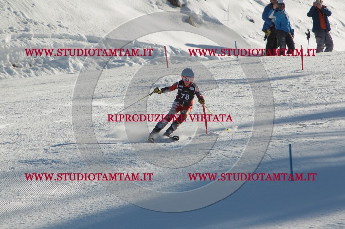 MAT_4100.JPG