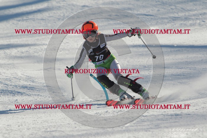 MAT_4115.JPG