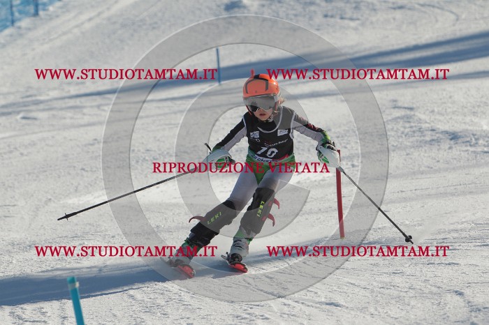 MAT_4117.JPG