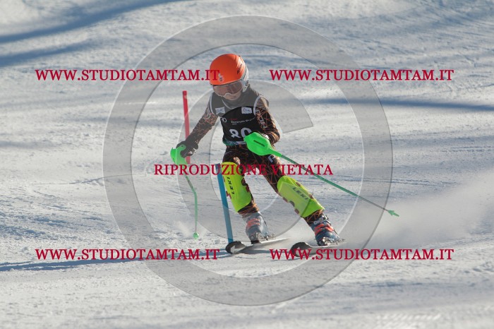 MAT_4127.JPG
