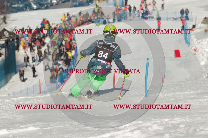 MAT_4183.JPG