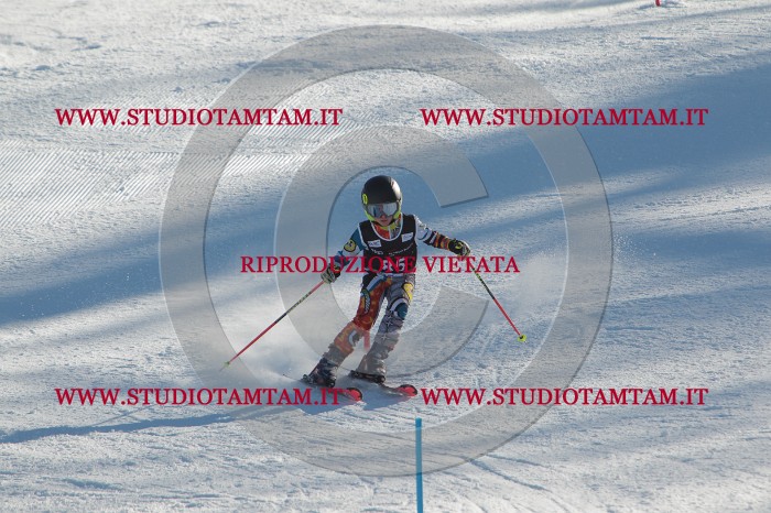MAT_4186.JPG