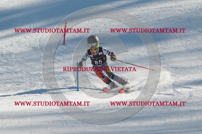 MAT_4187.JPG