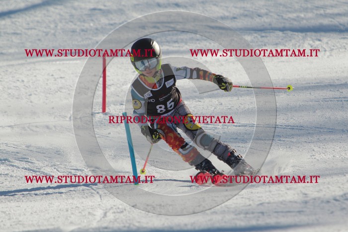 MAT_4191.JPG