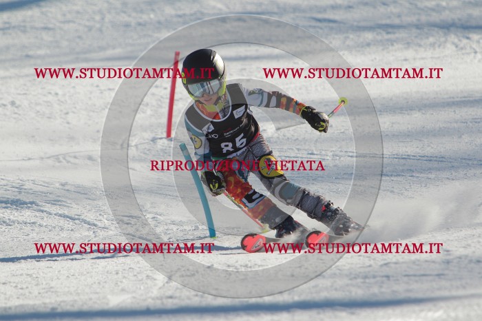 MAT_4192.JPG