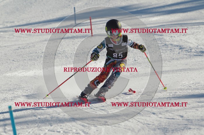 MAT_4193.JPG