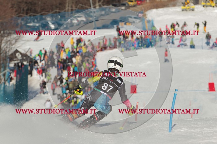 MAT_4215.JPG