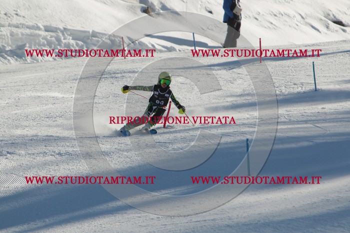 MAT_4228.JPG