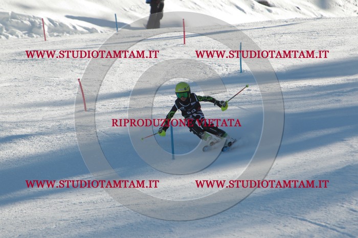 MAT_4229.JPG