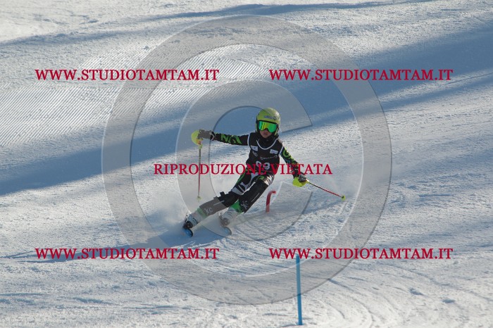 MAT_4231.JPG
