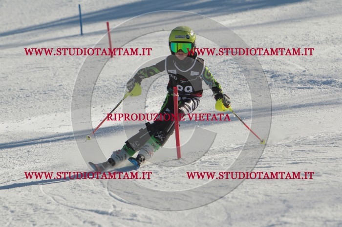 MAT_4238.JPG