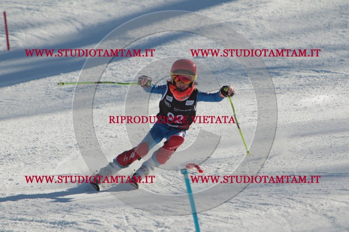 MAT_4261.JPG