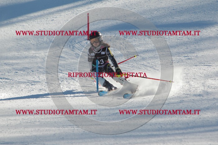 MAT_4269.JPG