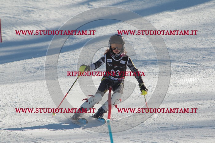 MAT_4270.JPG