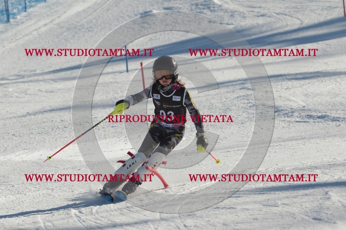 MAT_4272.JPG