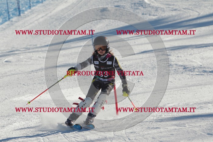 MAT_4273.JPG