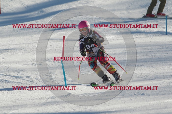 MAT_4279.JPG