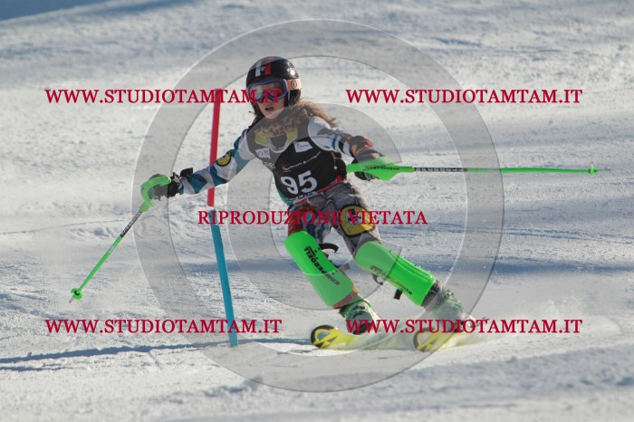 MAT_4287.JPG