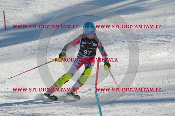 MAT_4304.JPG