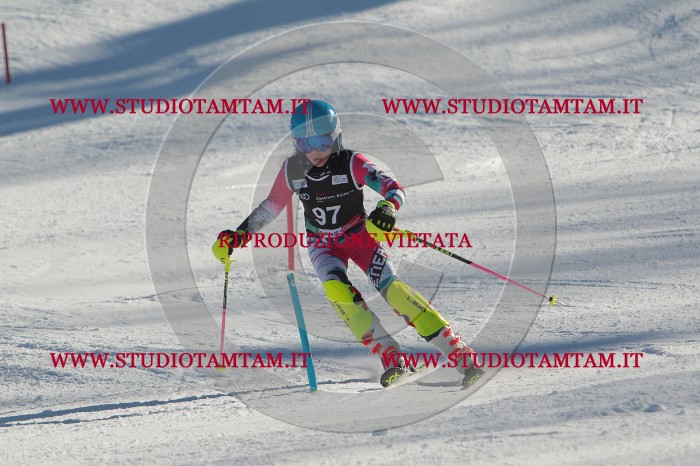 MAT_4305.JPG