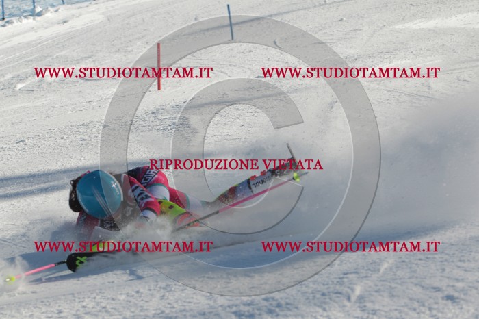 MAT_4308.JPG
