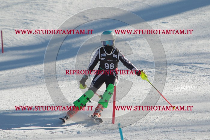 MAT_4313.JPG