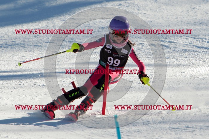 MAT_4318.jpg