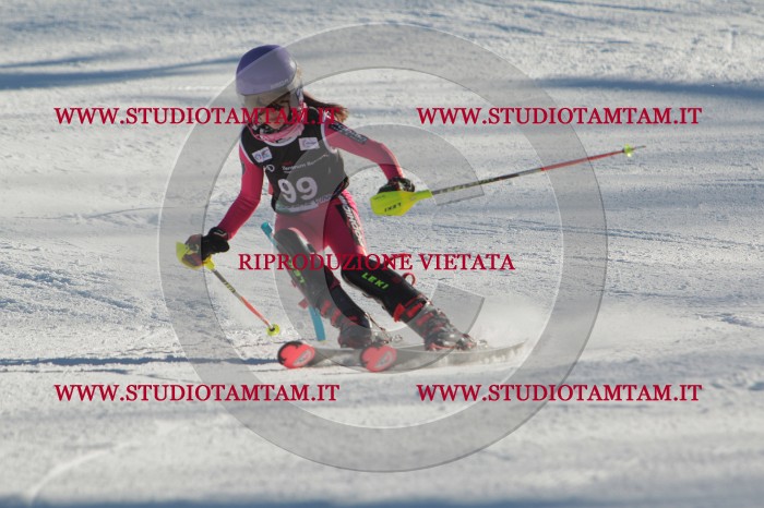 MAT_4320.JPG