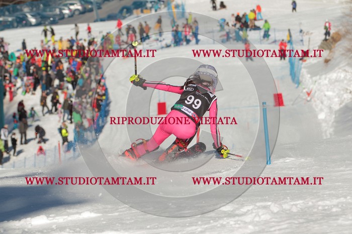 MAT_4324.JPG
